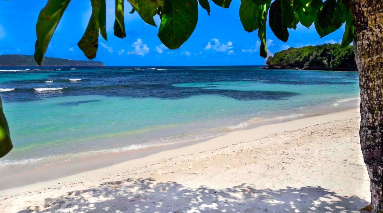 Jasmine La Playita - Ocean Front Apartment Las Galeras Exterior photo