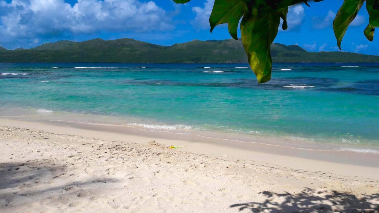 Jasmine La Playita - Ocean Front Apartment Las Galeras Exterior photo